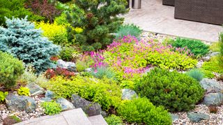 Layers of different flowers in garden