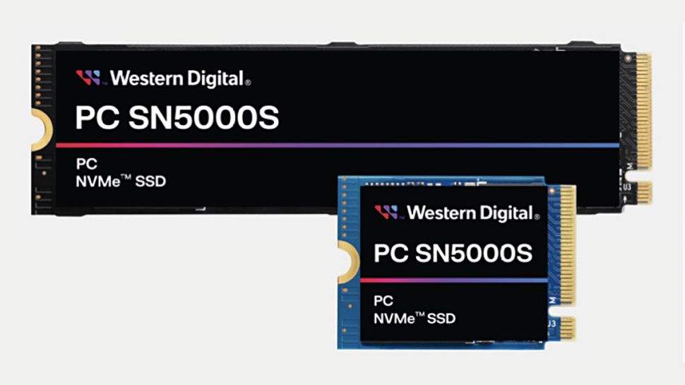 WD SN5000S 