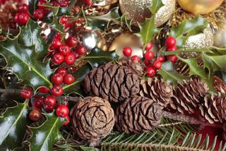 fresh christmas pinecones and cranberries