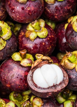 Mangosteen