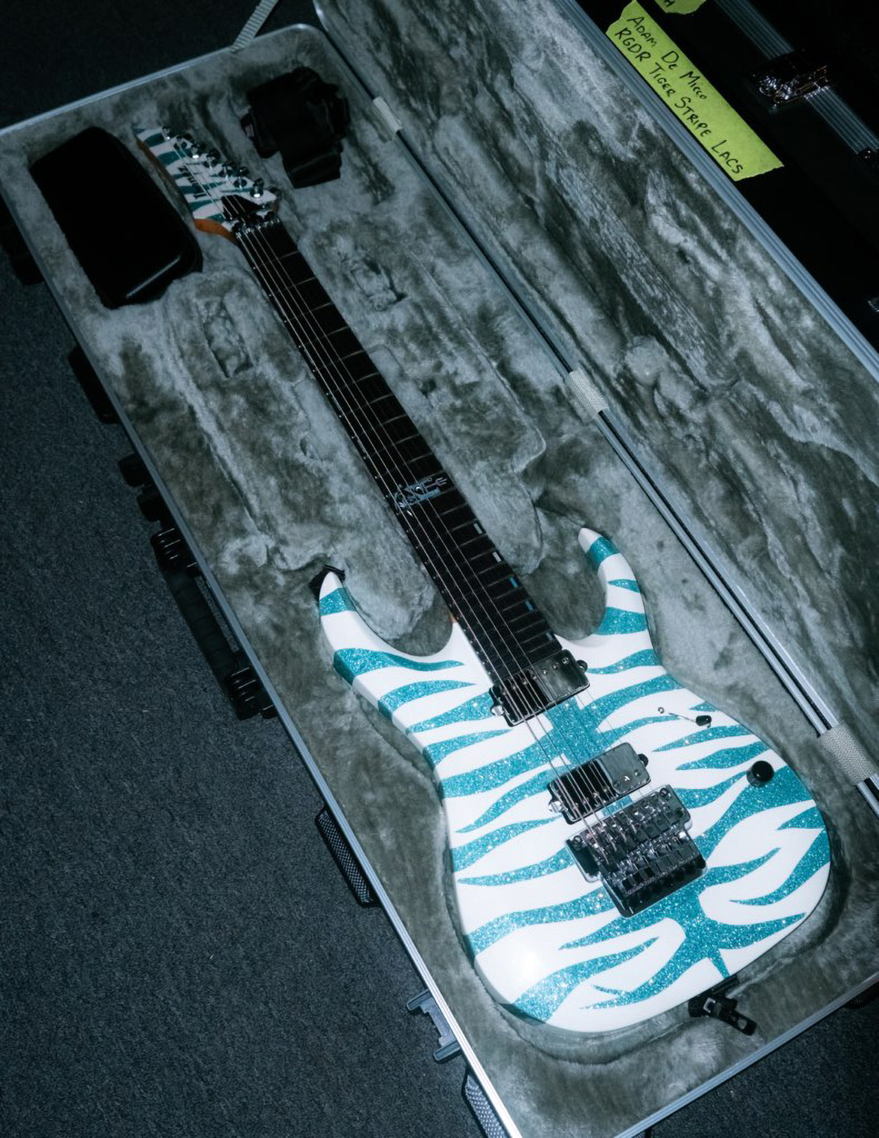 A custom Ibanez guitar owned by Lorna Shore&amp;rsquo;s Adam De Micco sits in its case