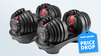 Bowflex SelectTech 552 Adjustable Dumbbells: was $549 now $349 @ Amazon