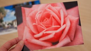 Prints display a good level of sharpness, contrast and colour accuracy