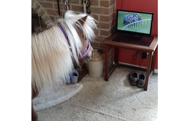 Digger has placed his bets&hellip;