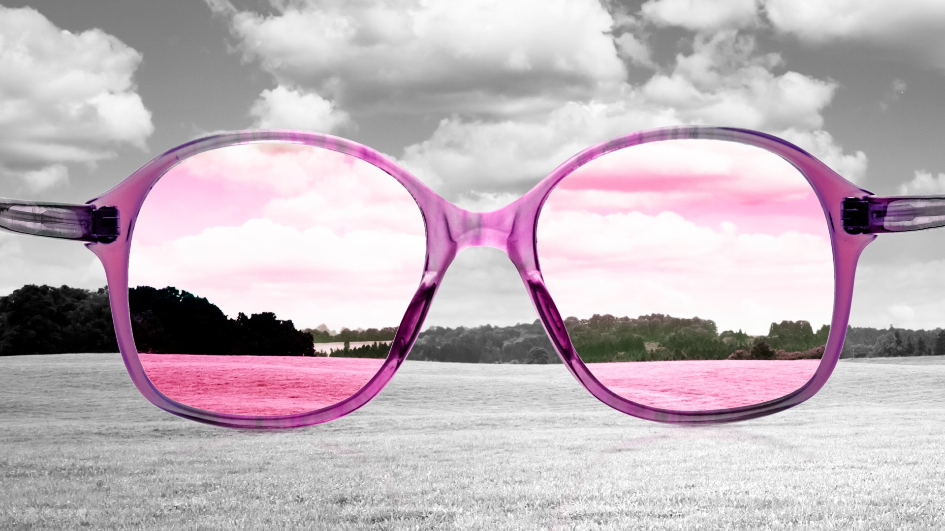Rose-tinted glasses help up in front of a black and white field