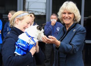 Camilla, Duchess of Cornwall pats a dog as she visits Battersea Dog and Cat's Home on October 27, 2010