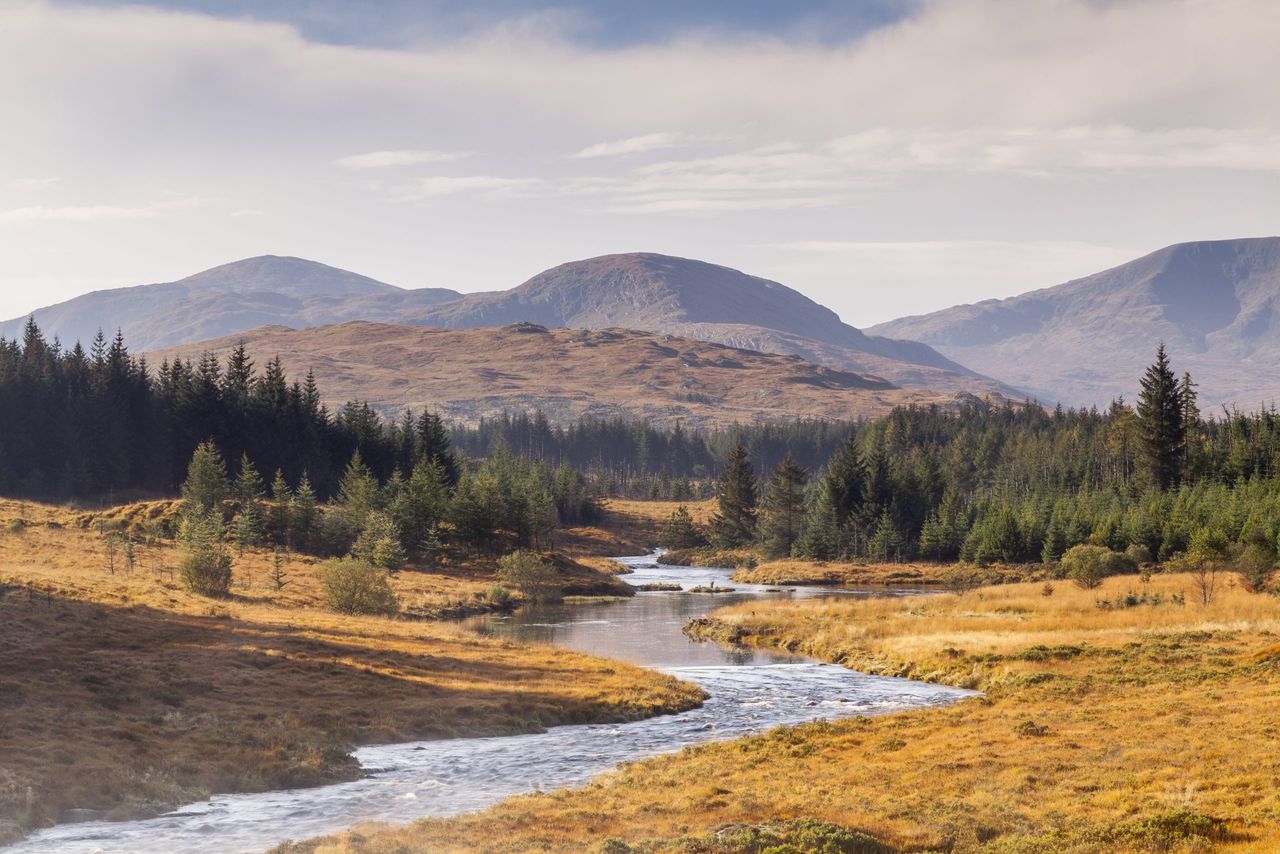 Carrick Lane, Galloway Forest Park.