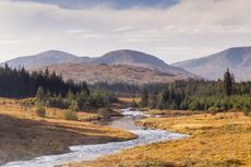 Carrick Lane, Galloway Forest Park.