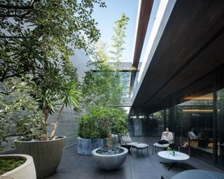 green courtyard at Timeless house by Apollo