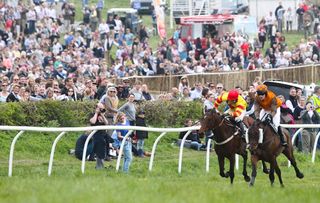 unmissable point-to-point meetings