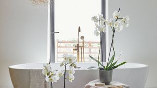orchids in a bathroom with freestanding white bath