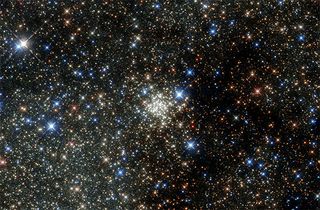 The Arches Cluster