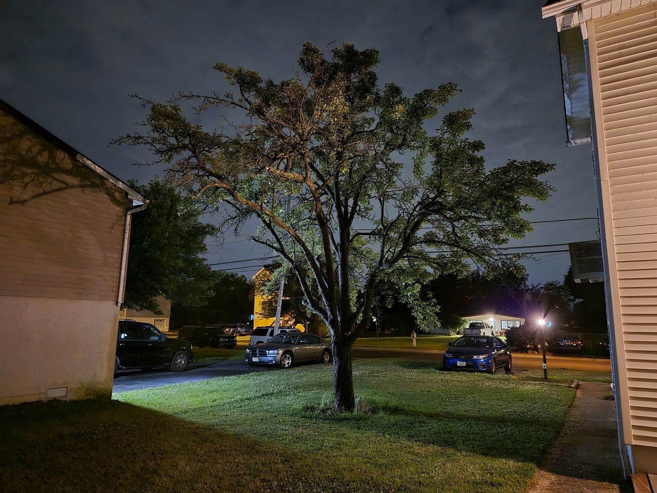 Samsung Galaxy S24 Plus low light sample.