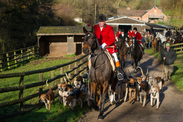 North Ledbury Hunt - December 2014