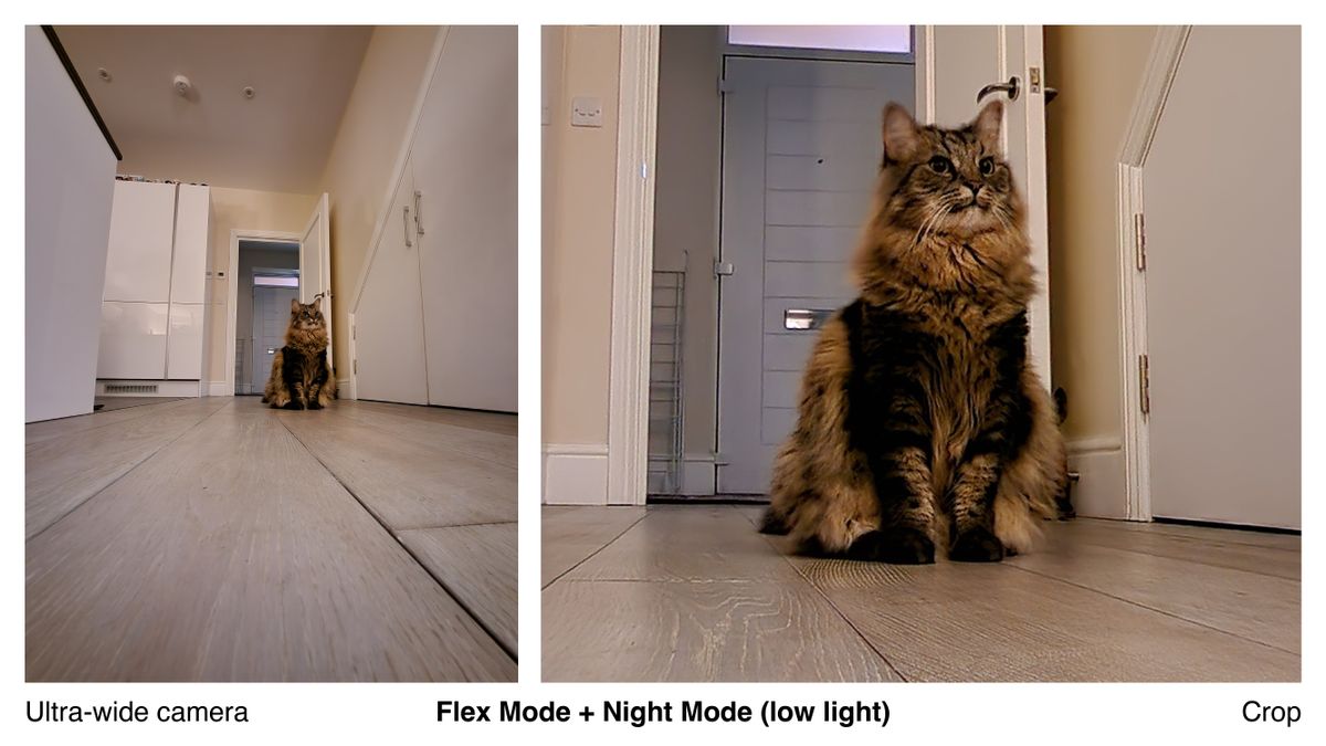 A photo captured on the Samsung Galaxy Z Flip 4