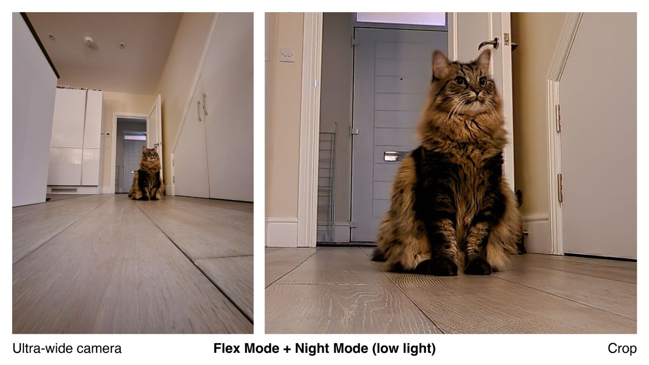 A photo captured on the Samsung Galaxy Z Flip 4