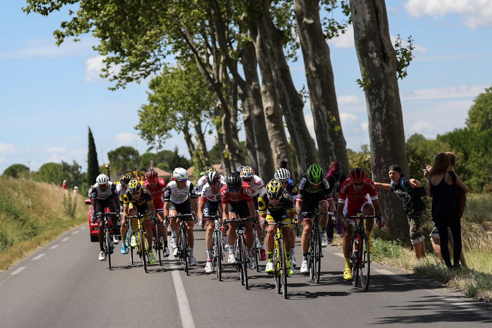The peloton in action during stage 12 at the Tour de France.