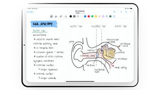 Best note-taking apps: Screengrab of Nebo
