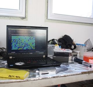 DNA sequencing run being carried out with an Oxford Nanopore MinION in the team's "lab" in the Canadian Arctic.
