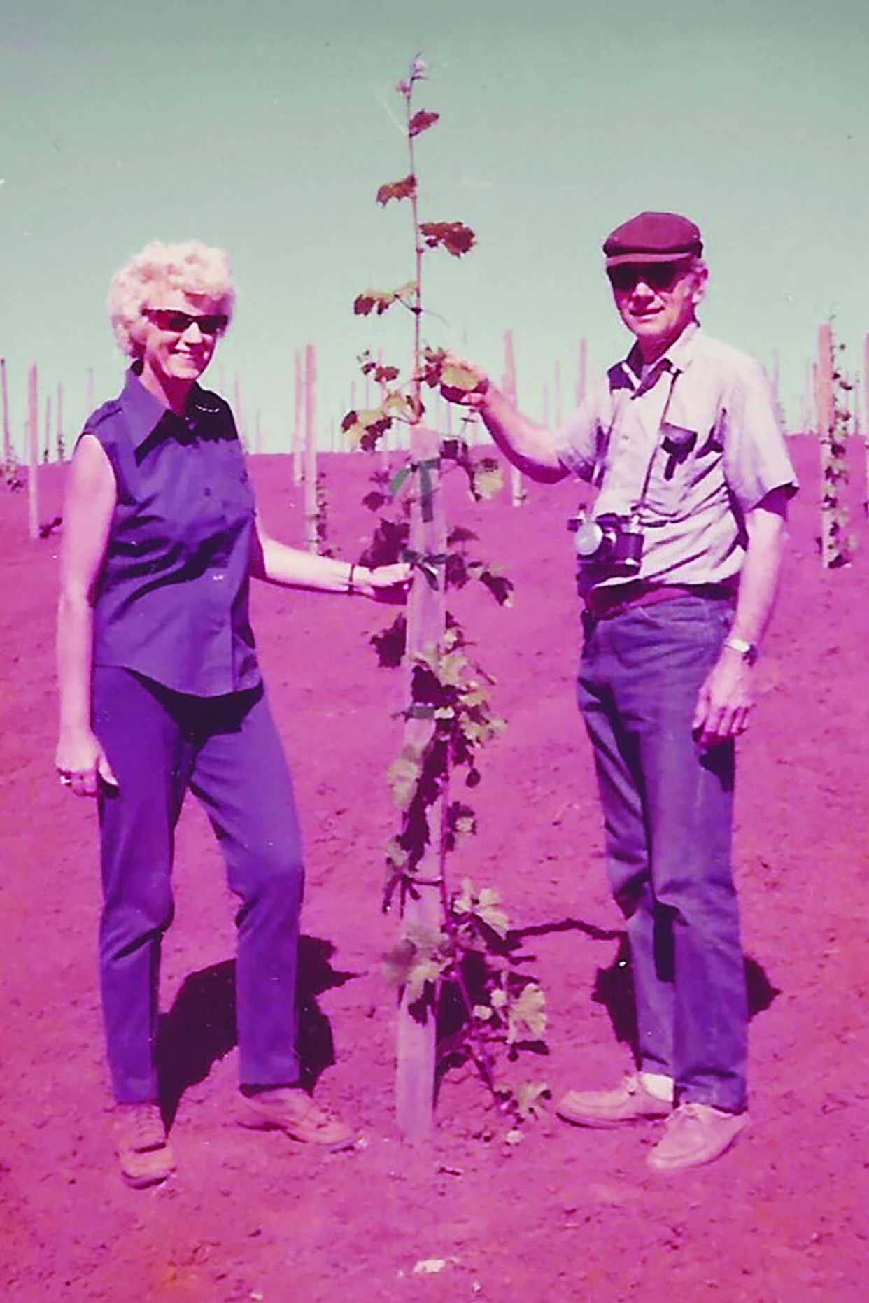 Doreen and Vic Kreimeyer in the newly planted Hyland vineyard in 1973