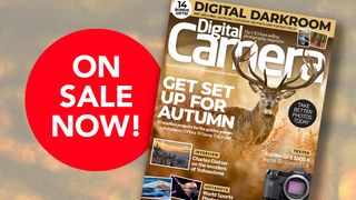 Front cover of issue 286, October 2024, of Digital Camera magazine, &#039;Get set up for Autumn&#039;