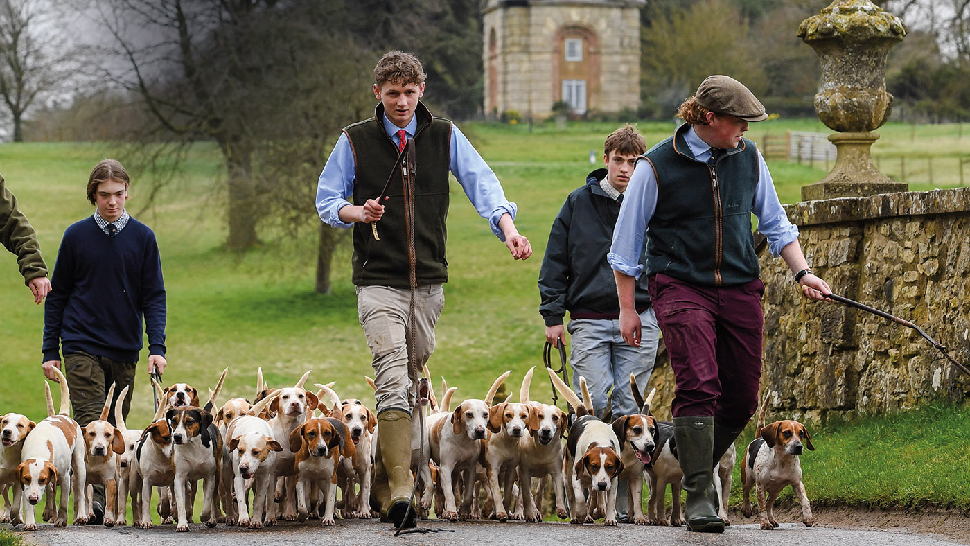 HAH300.ht_school.stowe_beagles_tom_gurney_features_20pn_49262_384859011_668975192_ti_archive.jpg
