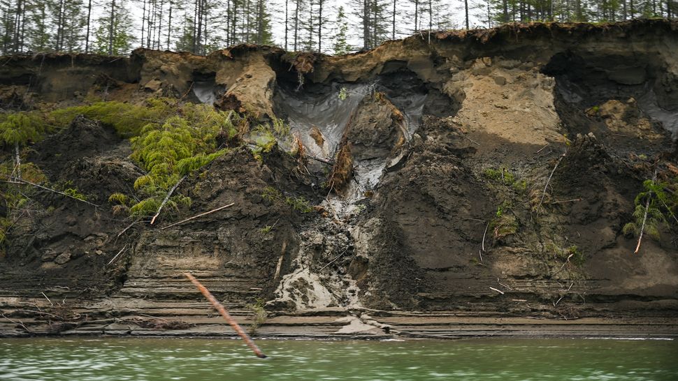 Zombie Viruses Have Been Revived From Siberian Permafrost Could They