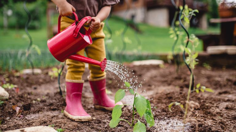child pouring red watering can