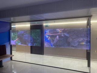 An LED wall brought to life with nsign.tv software.