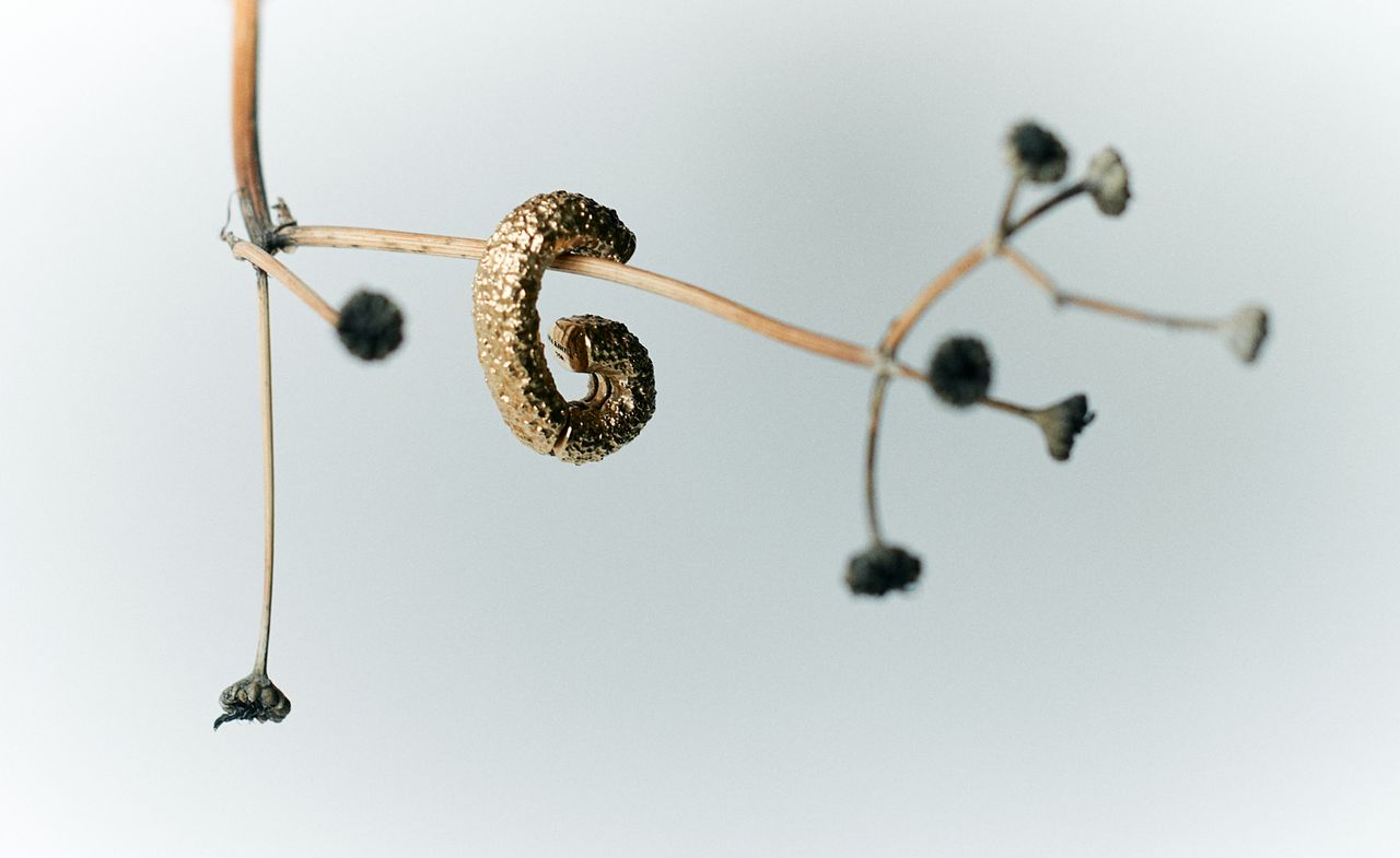 Ana Khouri Raw Editions textured gold jewellery on plant