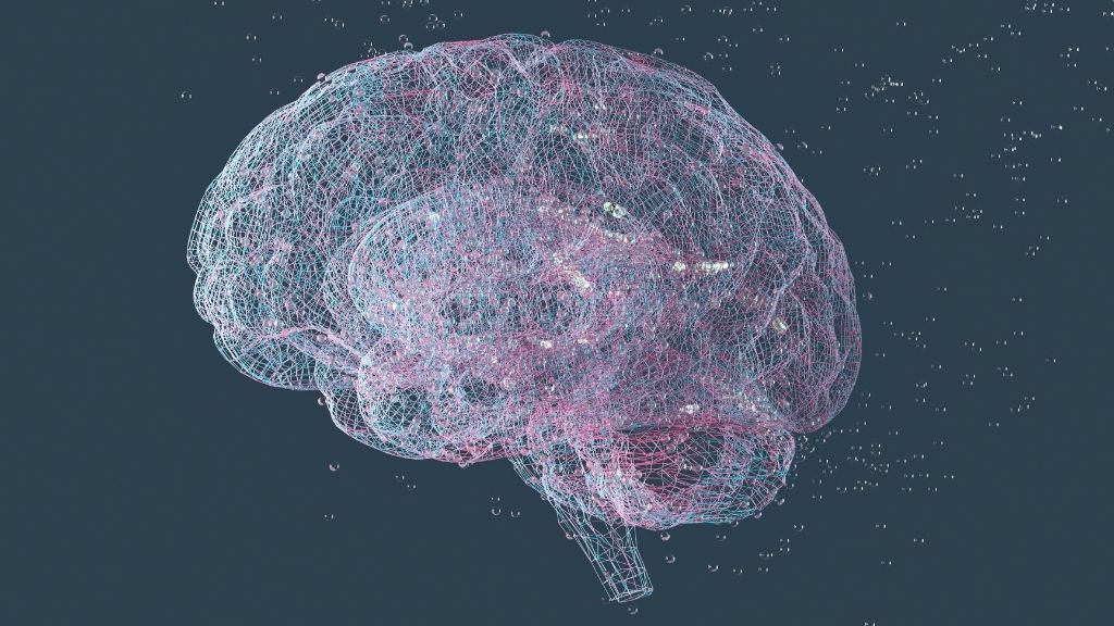 illustration of a human brain made up of very thin lines, like a mesh