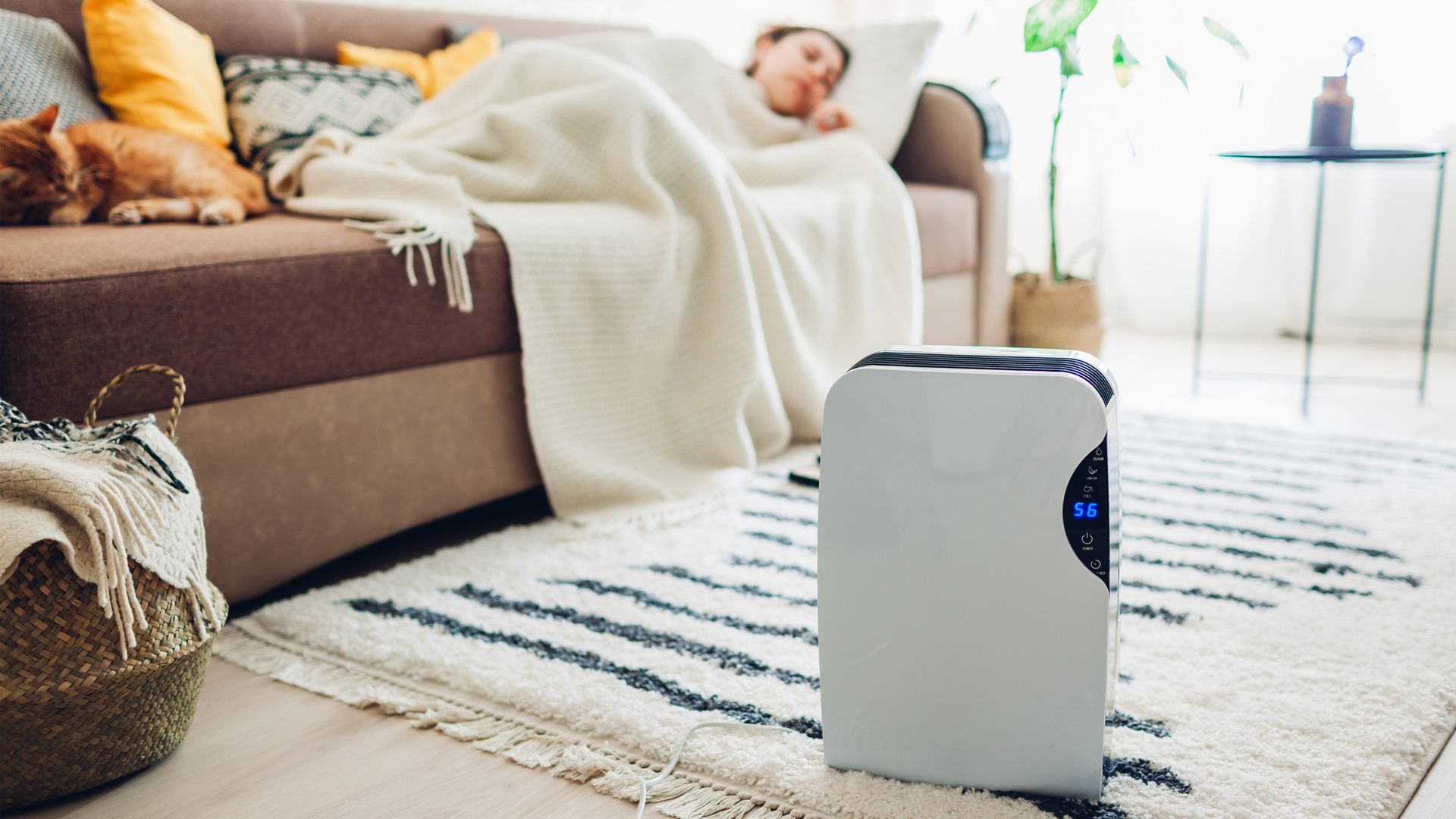 woman sleeping on the coach next to her dehumidifier