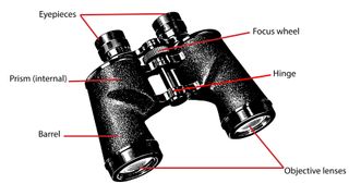 Anatomy of Binoculars