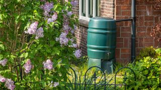 picture of water butt in garden