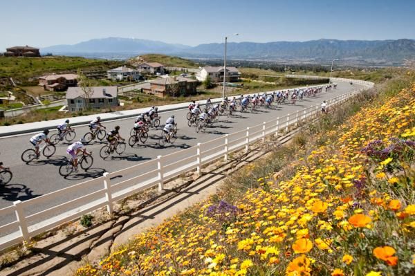Wildflowers were out along the course in Redlands.