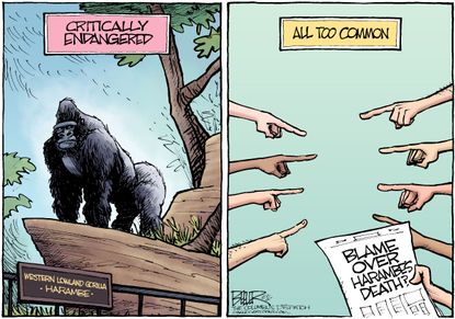 Editorial Cartoon U.S. Harambe Gorilla 2016