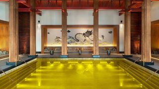 Swimming pool at The St Regis Lhasa Resort