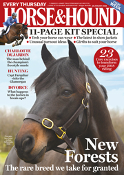 HHcov18Jan-180-lr.jpg