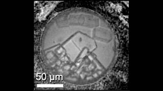 This image shows the newly discovered hydrate that has two sodium chloride molecules for every 17 water molecules. This crystal formed at high pressure but remains stable at cold, low-pressure conditions.