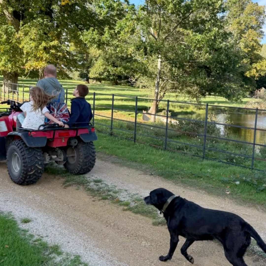 Prince Harry riding an ATV with Princess Lilibet and Prince Archie with their dog running behind