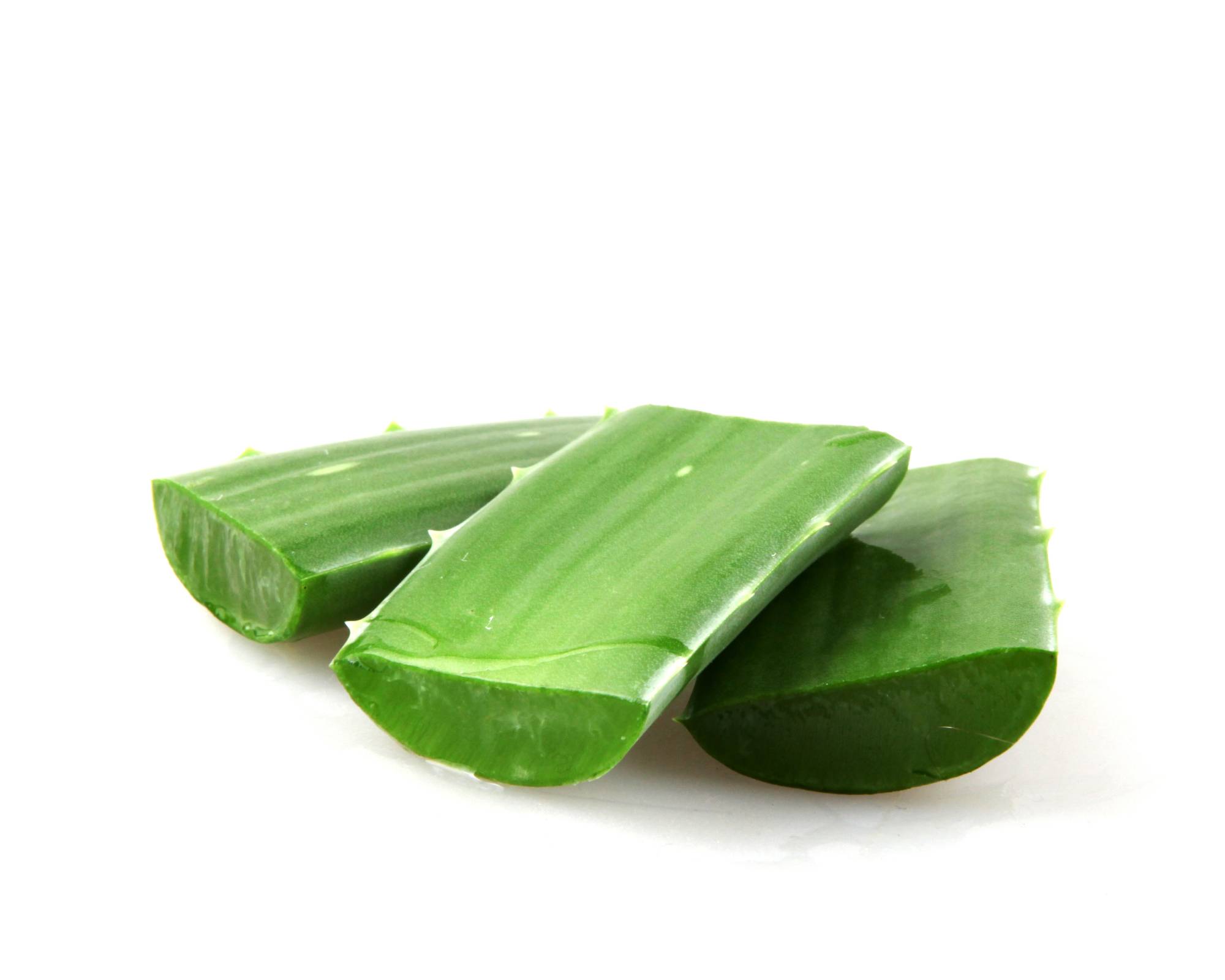 Propagate aloe vera with leaf cuttings