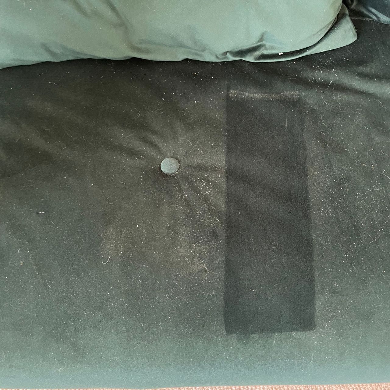 Dirty green sofa bed with a clean strip where the Shark PowerPro has cleaned