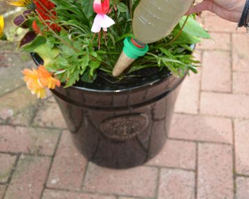 watering plants while im away diy