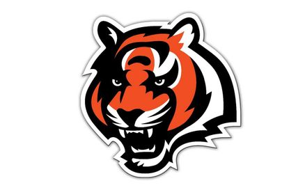 22. Cincinnati Bengals