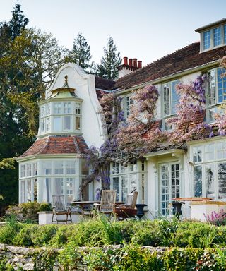 wisteria growing over the wall of a whitewashed country house