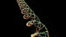 an illustration of a DNA helix