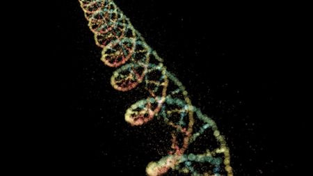 an illustration of a DNA helix