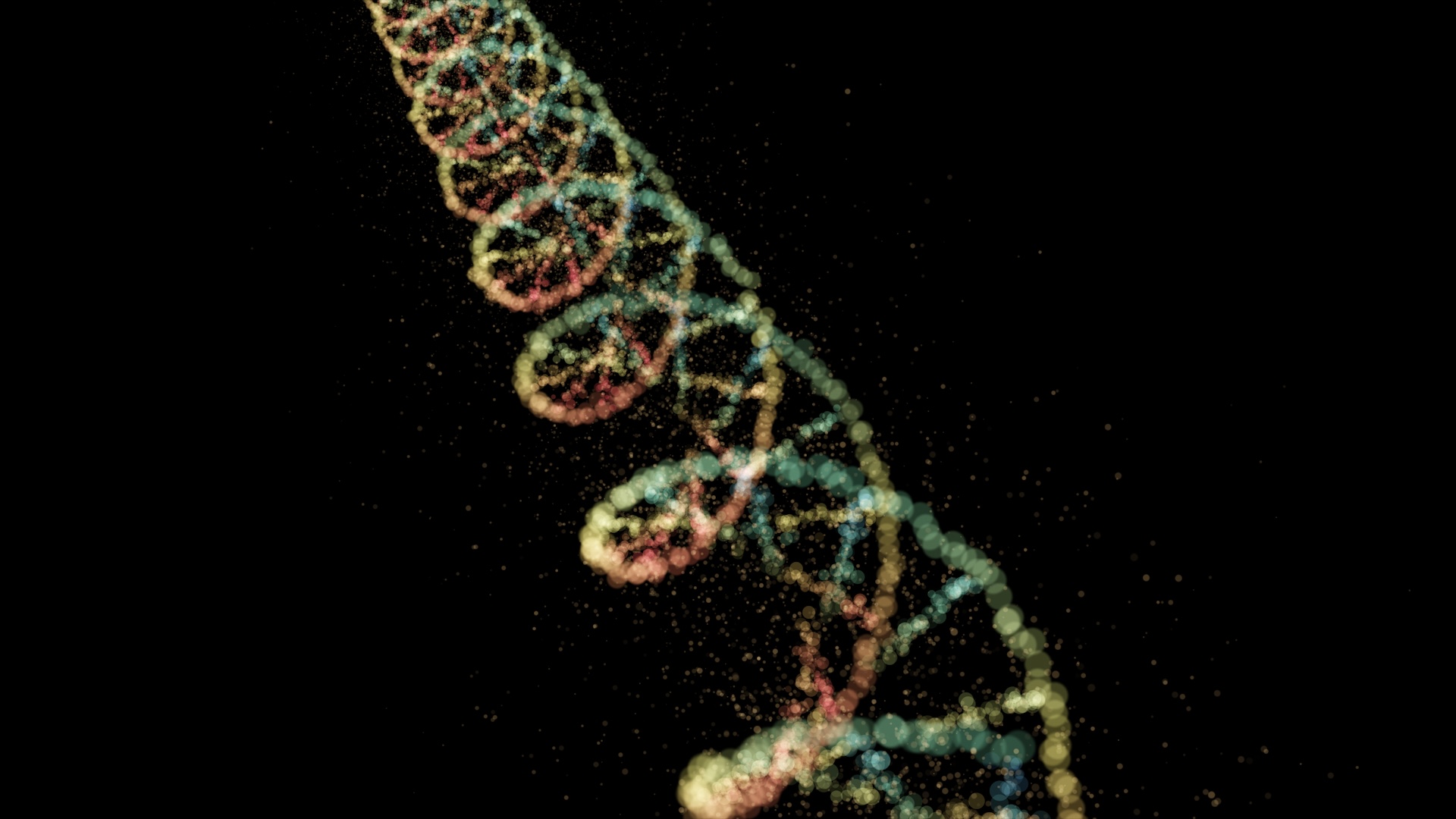 Biological aging may not be driven by what we thought