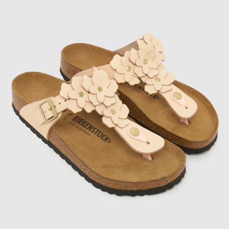 Gizeh Flowers in Pale Pink