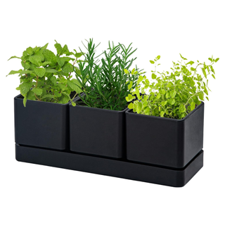 A set of kitchen garden planters